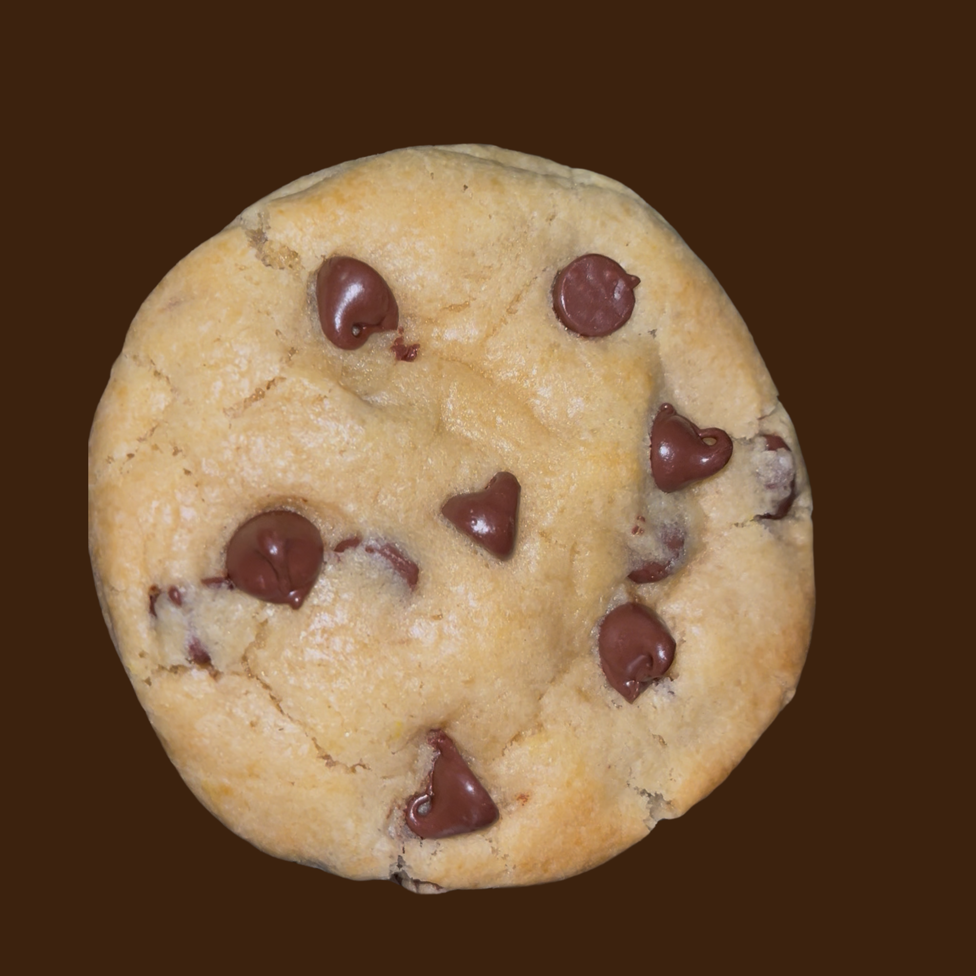 Chocolate Chip Cookie
