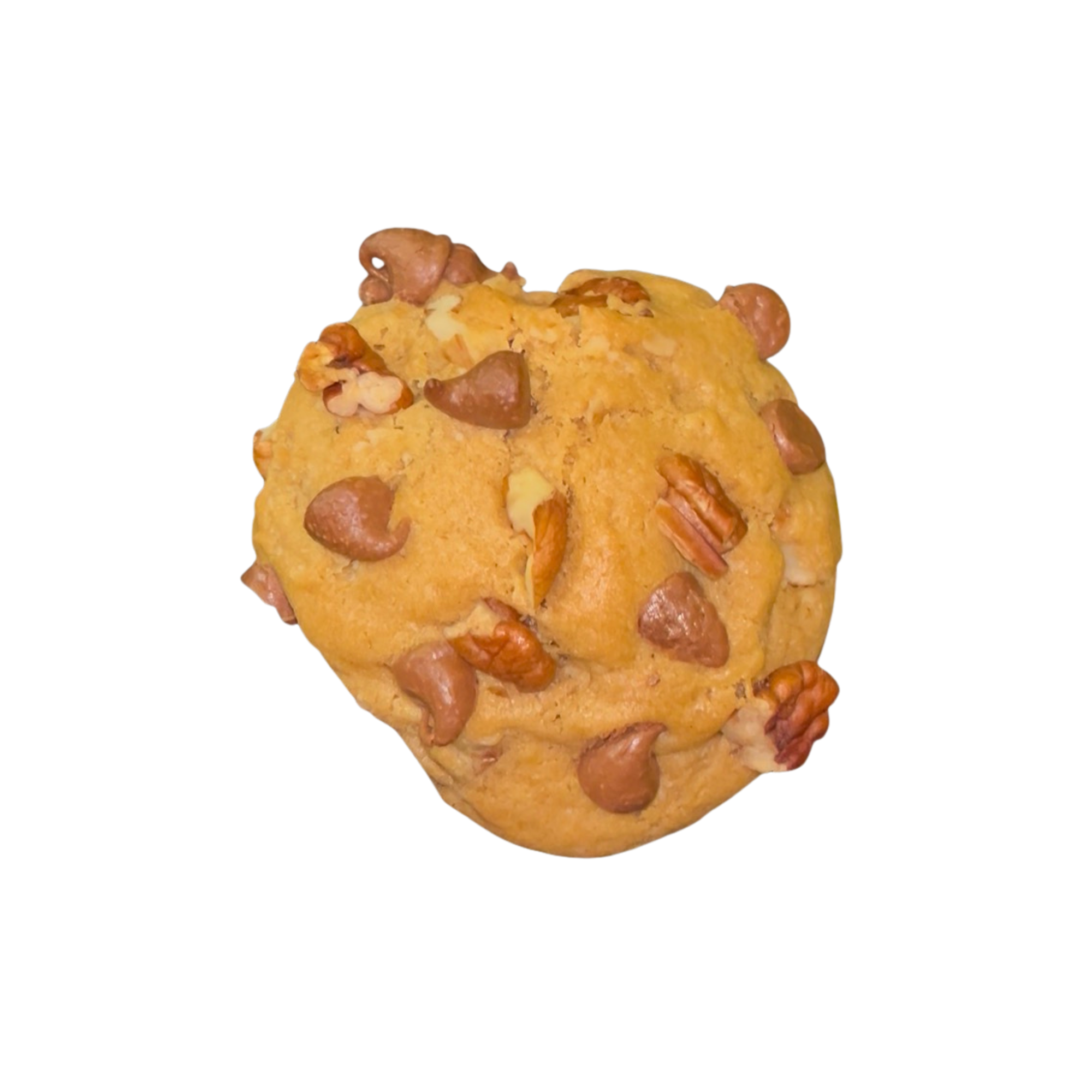 Oatmeal Pecan Chocolate Chip
